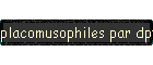 placomusophiles par dpt