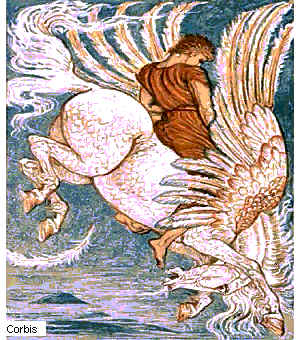 wpe1.jpg (31638 octets)